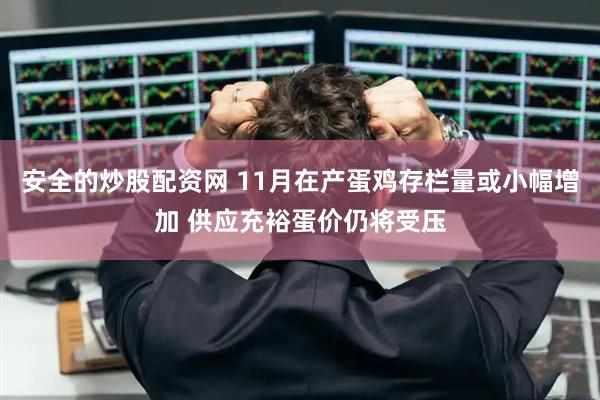 安全的炒股配资网 11月在产蛋鸡存栏量或小幅增加 供应充裕蛋价仍将受压