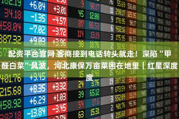 配资平台官网 客商接到电话转头就走！深陷“甲醛白菜”风波，河北康保万亩菜困在地里｜红星深度